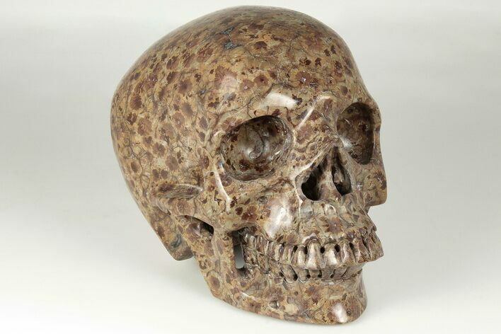 Polished, Brown Wavellite Stone Skull #199600